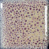 Texas Two-Step Oilspot Glazes