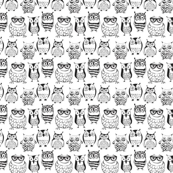 Owl - 10